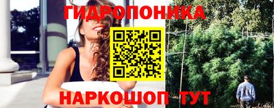 a pvp Можайск
