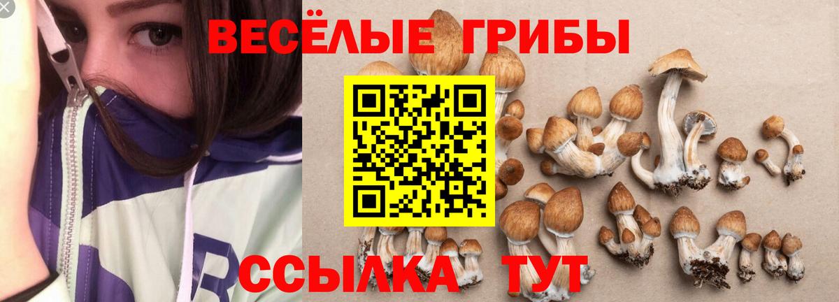 Галлюциногенные грибы MAGIC MUSHROOMS Советская Гавань